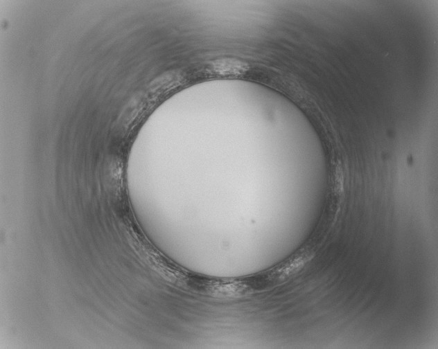 X0000051920321200507152103