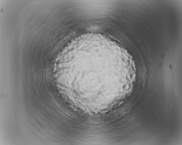 X0000051920322200507152103