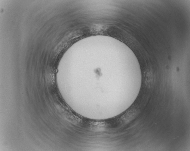 X0000051920324200507152103