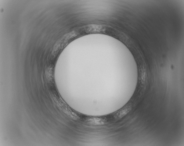 X0000051920326200507152103