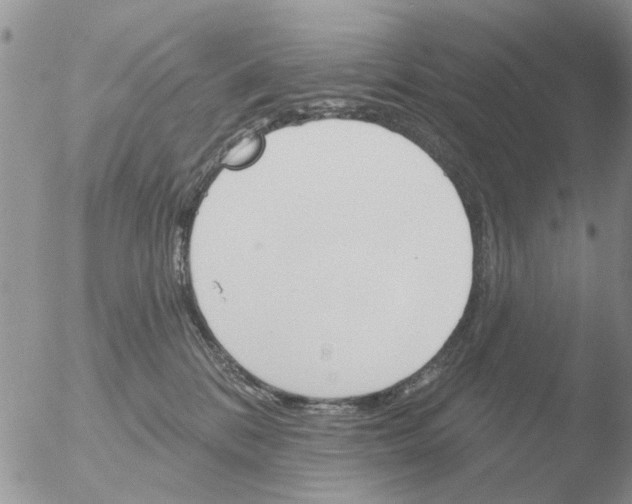 X0000051920328200507152103