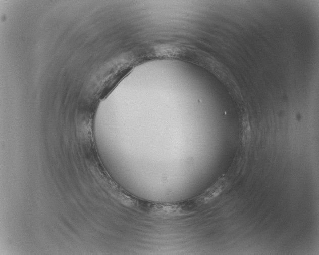 X0000051920329200507152103