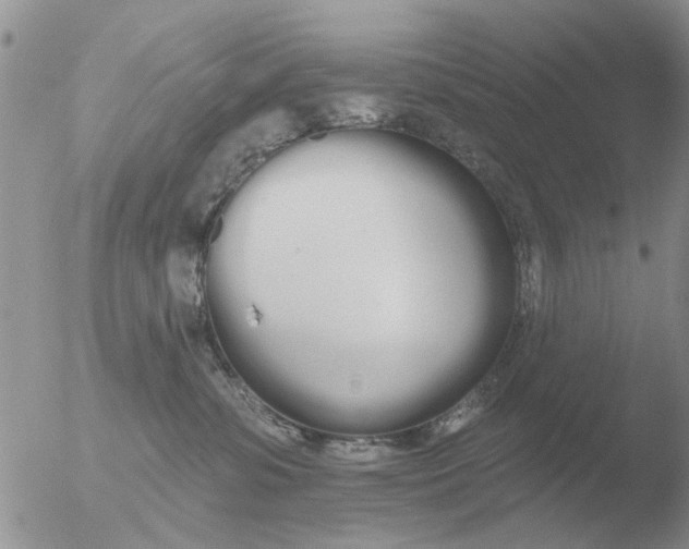 X0000051920331200507152103