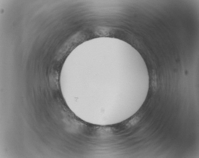 X0000051920332200507152103