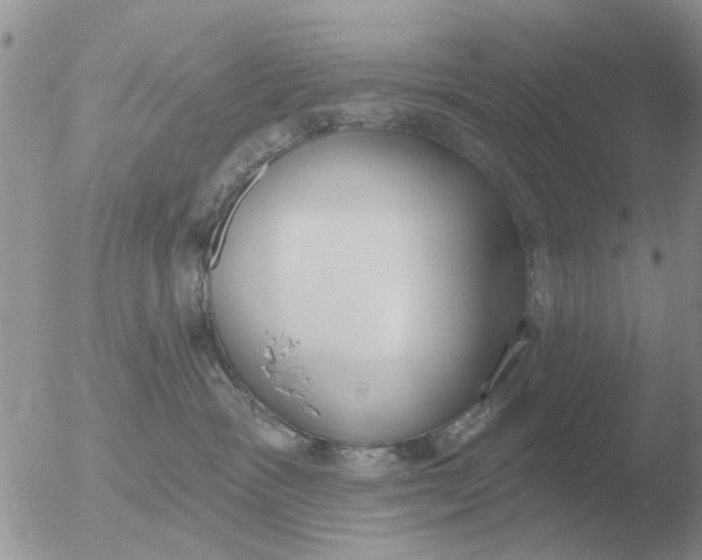 X0000051920333200507152103