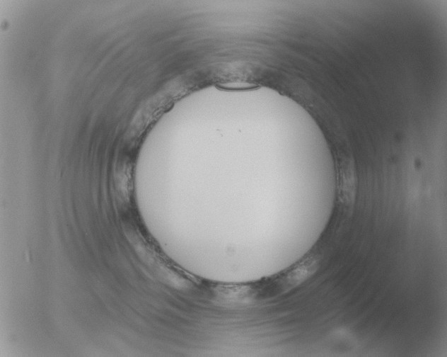 X0000051920334200507152103