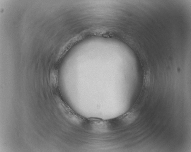 X0000051920335200507152103