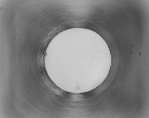 X0000051920336200507152103