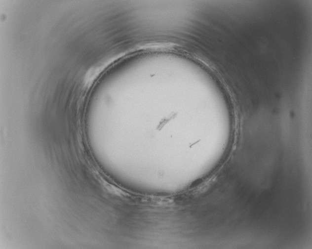 X0000051920337200507152102