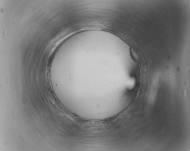 X0000051920338200507152102