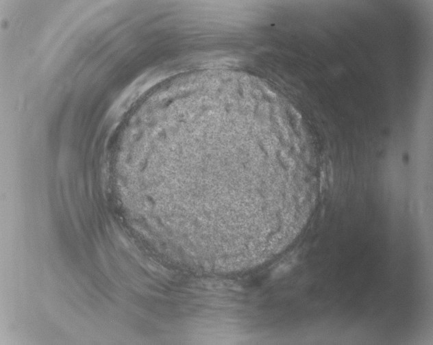 X0000051920339200507152102