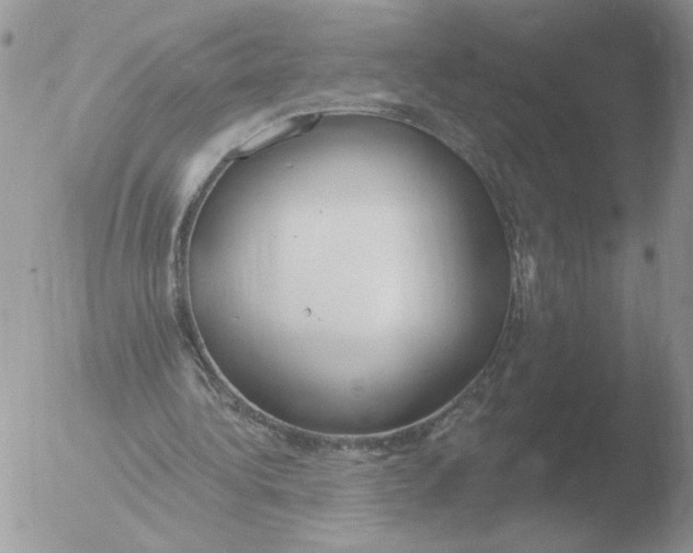 X0000051920340200507152102