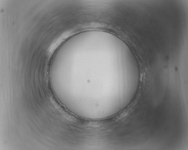 X0000051920341200507152102