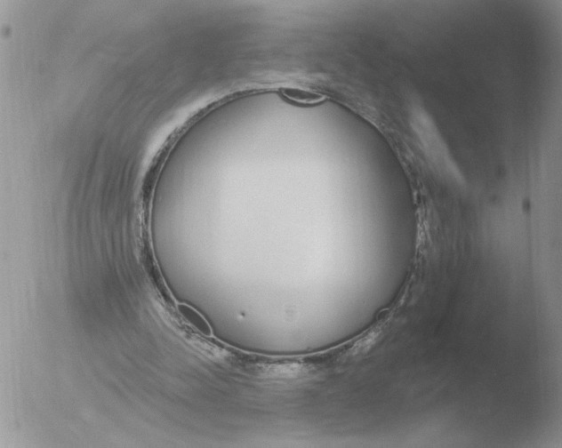 X0000051920342200507152102