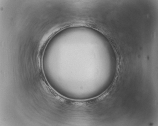 X0000051920343200507152102