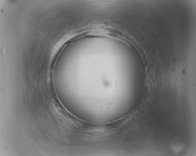 X0000051920344200507152102