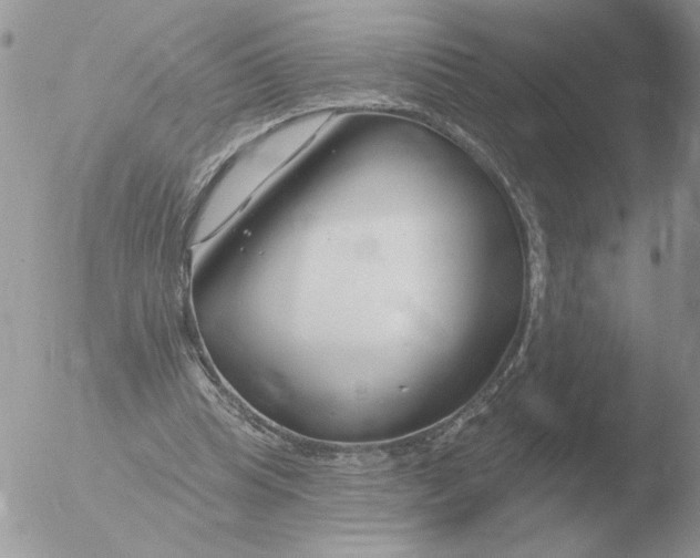 X0000051920345200507152102