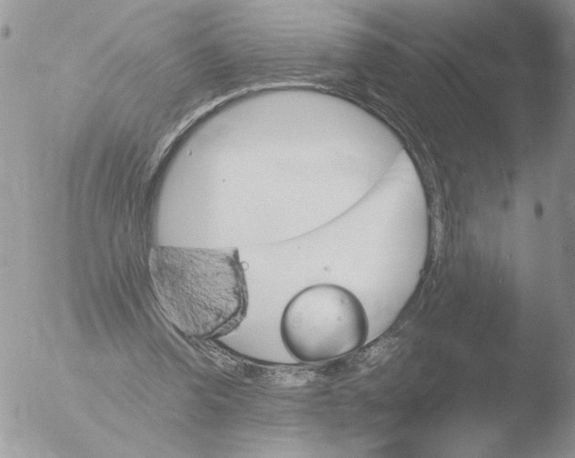 X0000051920346200507152102