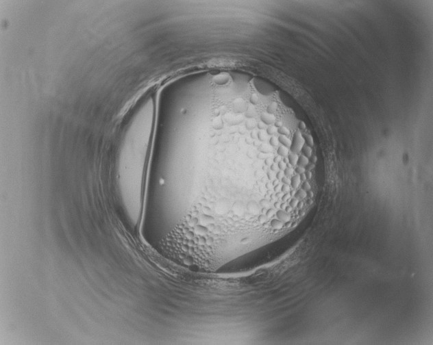 X0000051920347200507152102