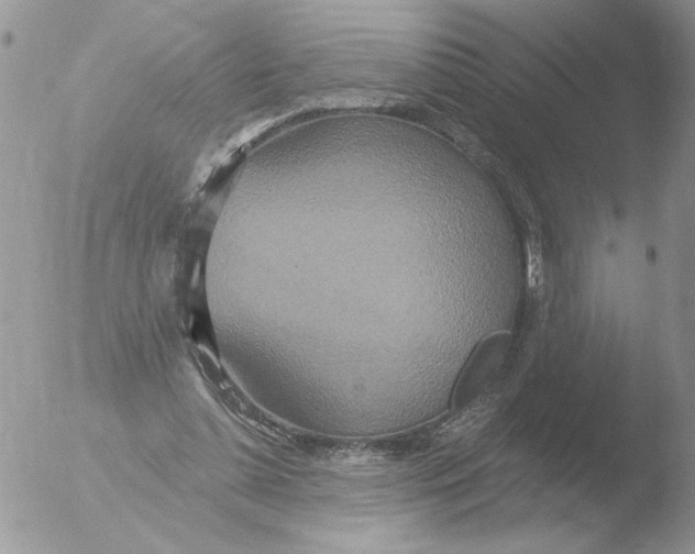 X0000051920348200507152103