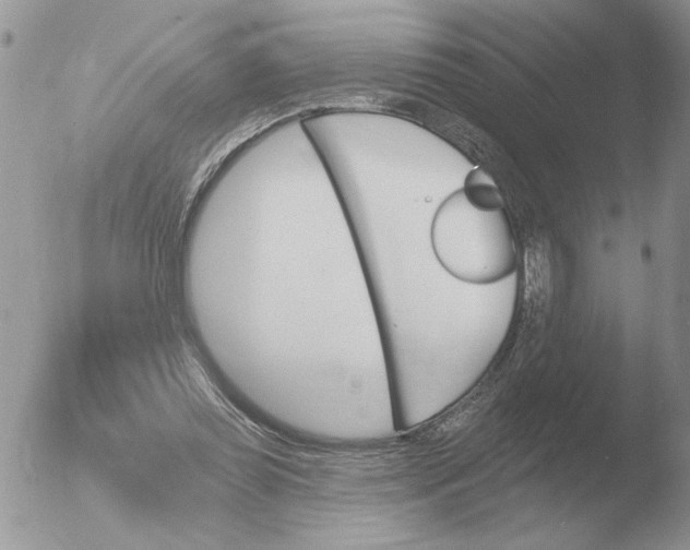 X0000051920349200507152103