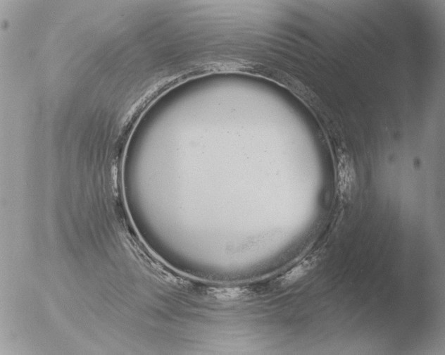 X0000051920351200507152103