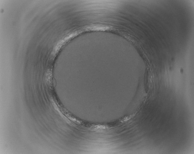 X0000051920352200507152103