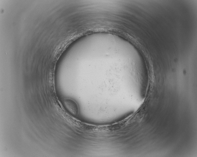 X0000051920353200507152103