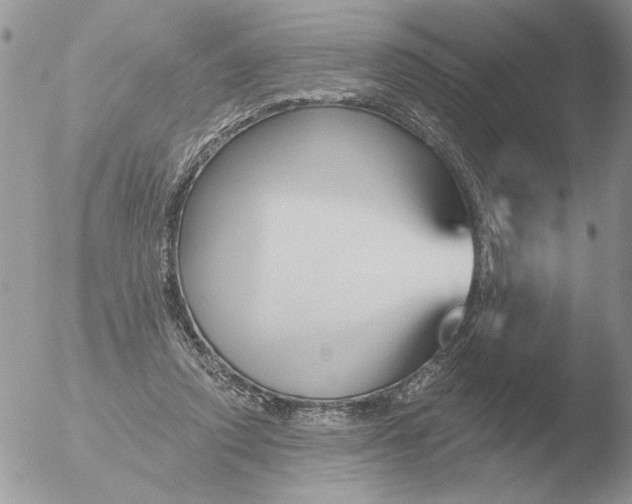 X0000051920354200507152103