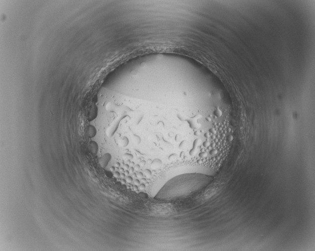 X0000051920355200507152103