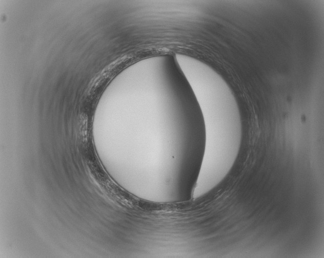 X0000051920356200507152103