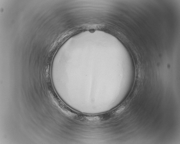 X0000051920357200507152103