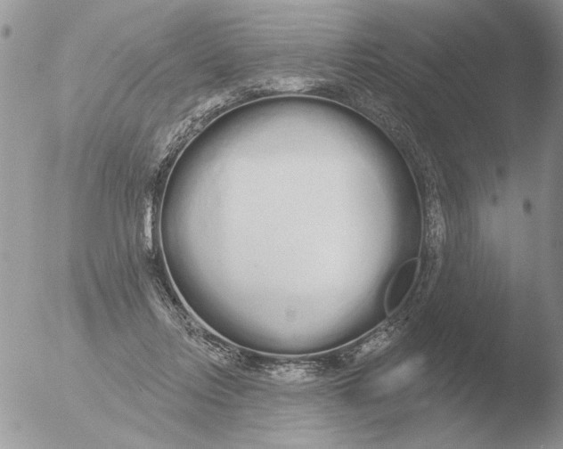 X0000051920358200507152103