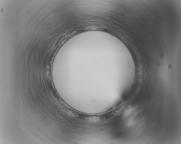 X0000051920361200507152103