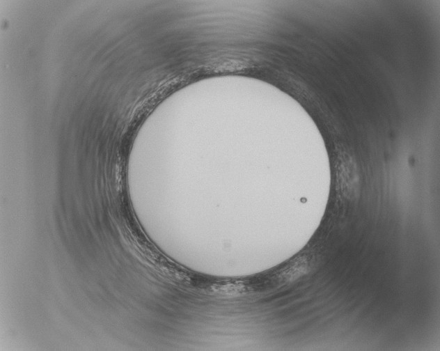 X0000051920362200507152103