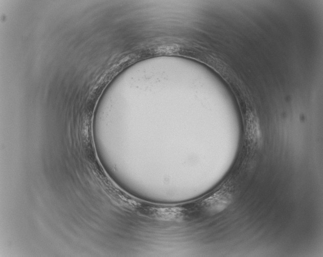 X0000051920363200507152103