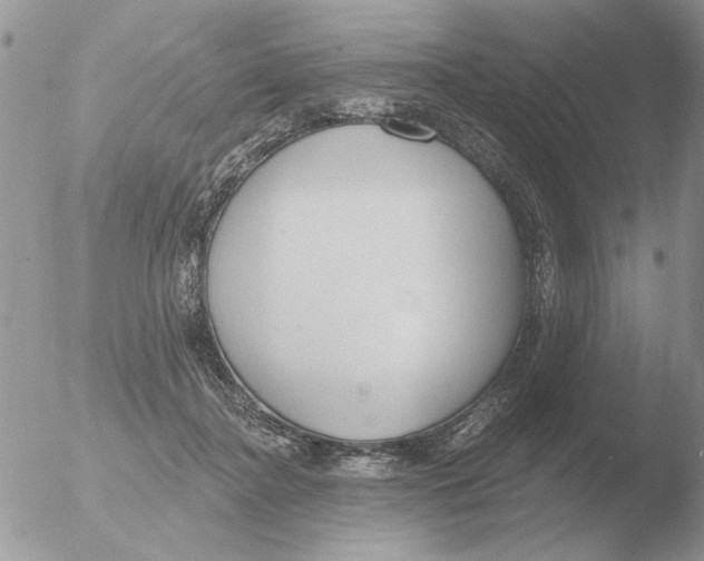 X0000051920364200507152103