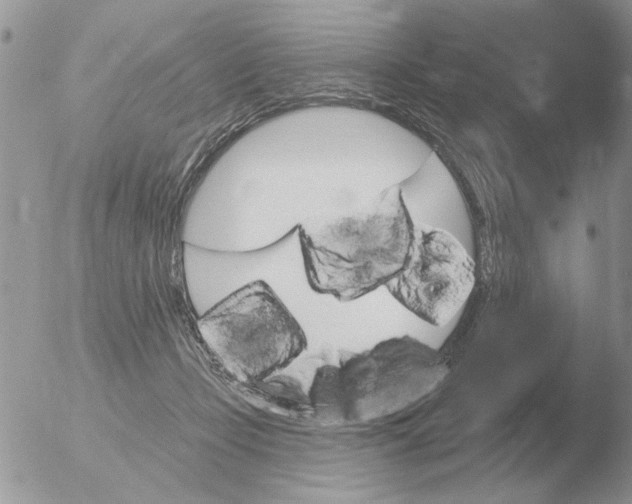 X0000051920365200507152103