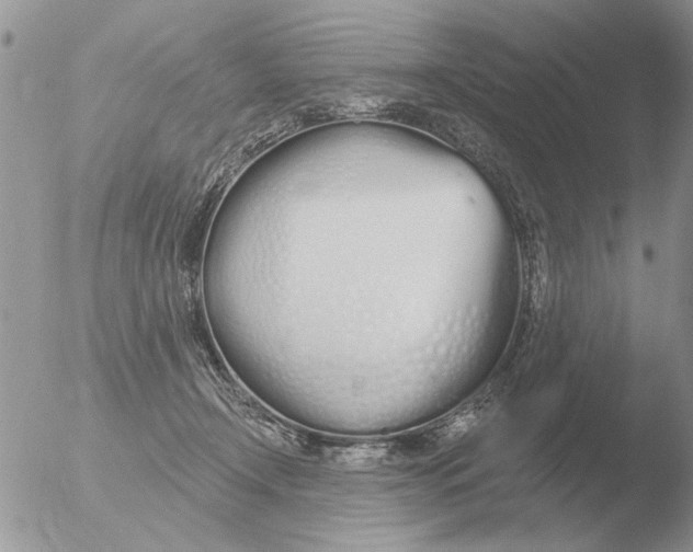 X0000051920366200507152103