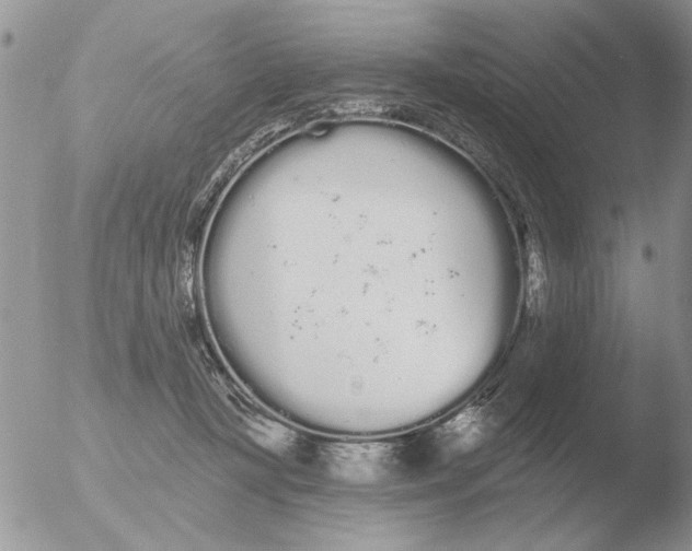 X0000051920367200507152103