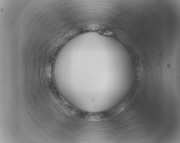 X0000051920368200507152103