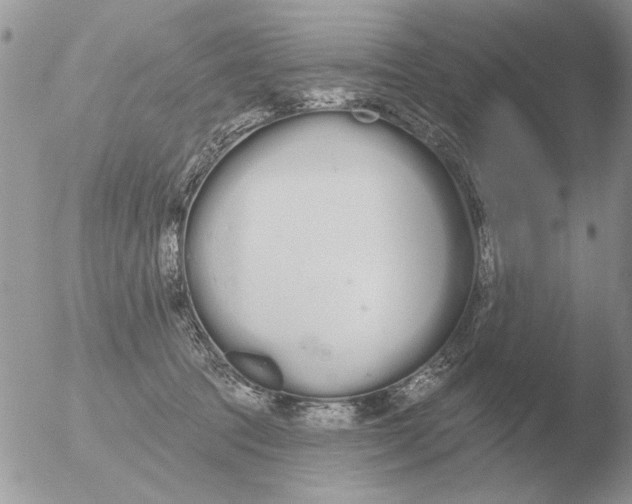 X0000051920369200507152103