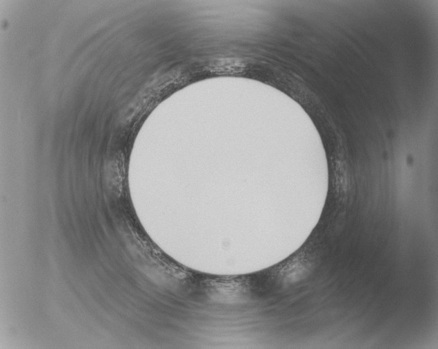 X0000051920370200507152103