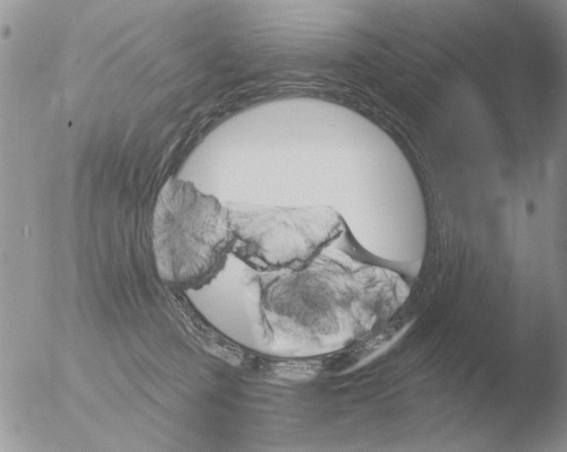 X0000051920373200507152103