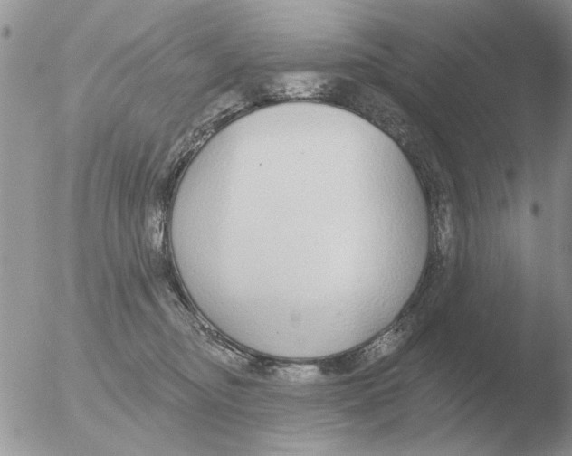 X0000051920374200507152103