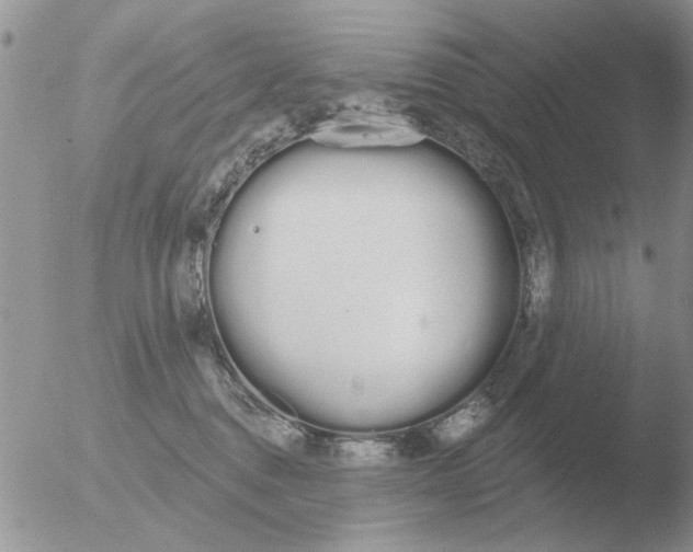 X0000051920376200507152103