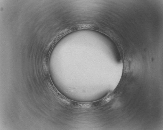 X0000051920377200507152103