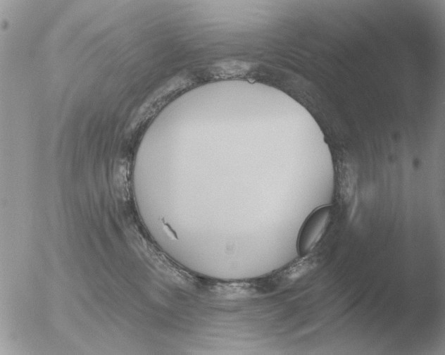 X0000051920378200507152103