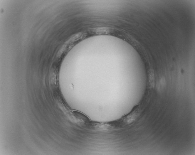 X0000051920379200507152103