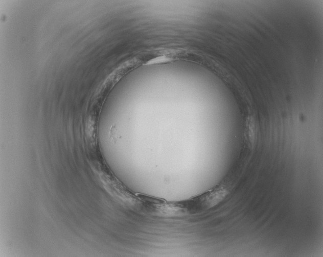 X0000051920380200507152103